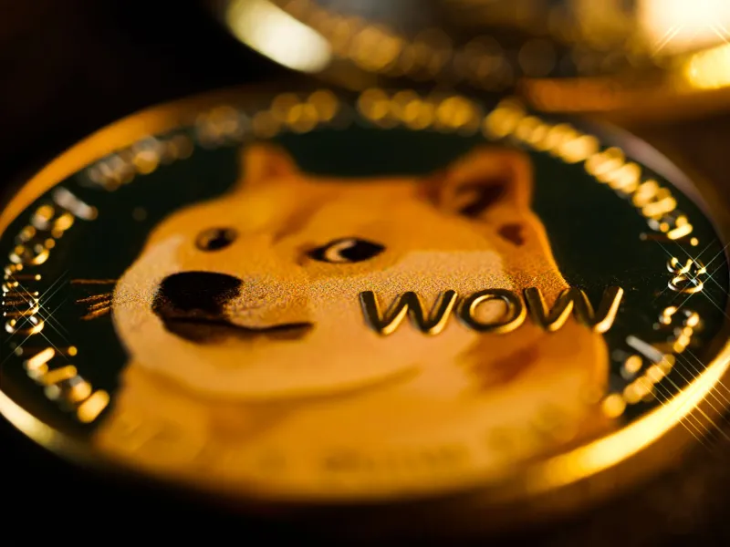 Dog Money Doesn't Lie: Why Memecoins Are the Most Honest Bet in Crypto