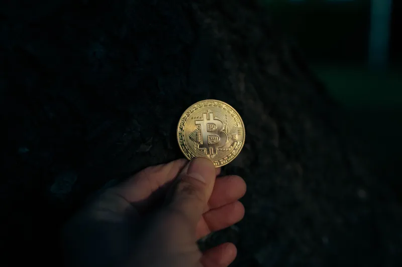 Don't Trust, Verify: How Crypto Communities Are Weaponizing Transparency to Kill Rug Pulls