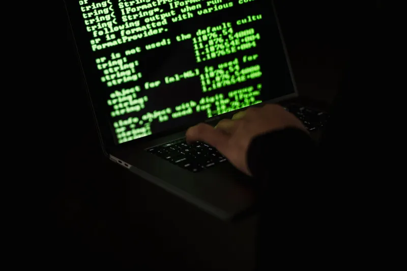 Rats in the Ranks: How Crypto's Own Holders Are Becoming the Most Feared Fraud Hunters on the Internet